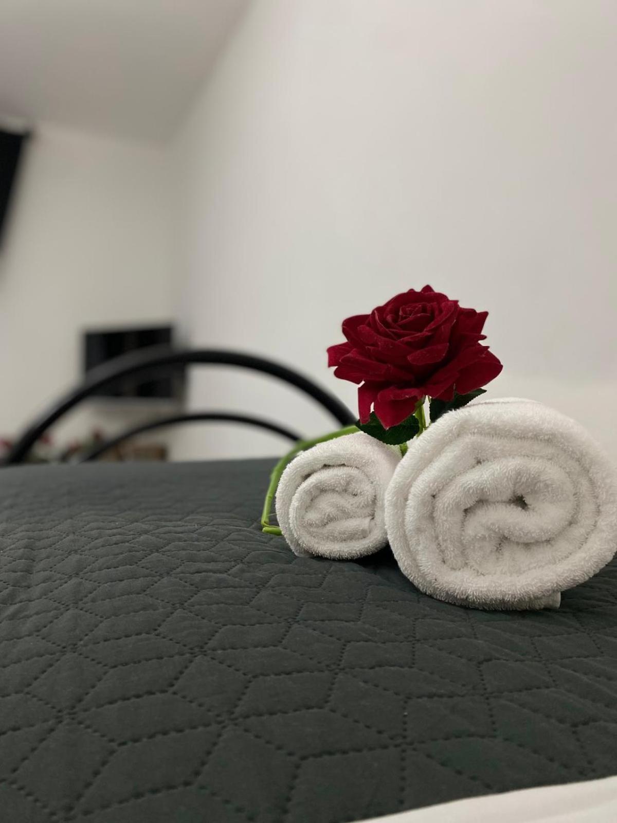 Apartamento Red Roses Domus Roma Exterior foto